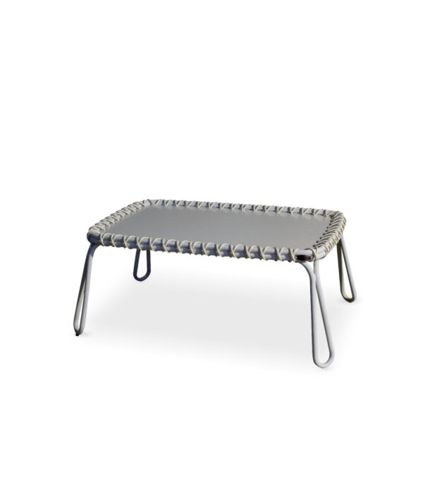 AMERA Center Table
