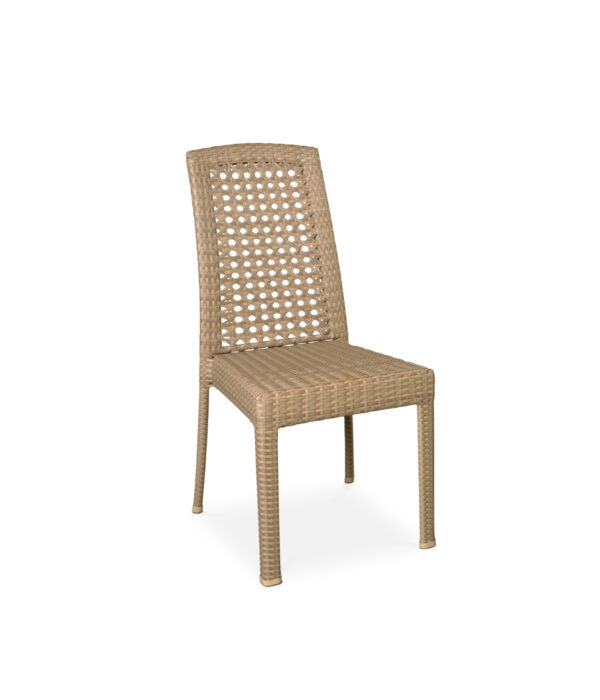 CARYL Side Chair