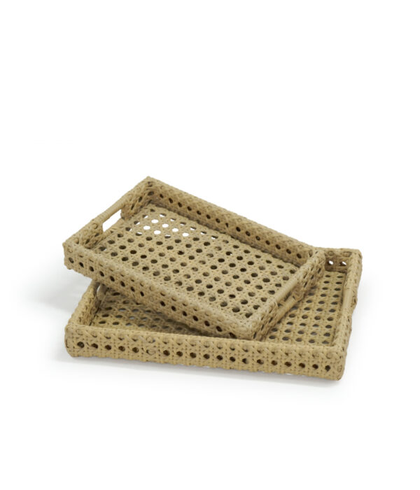 VIRO Tray